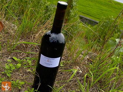 Rotwein. Lutz Mueller.
