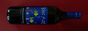 Blue Reef 05
